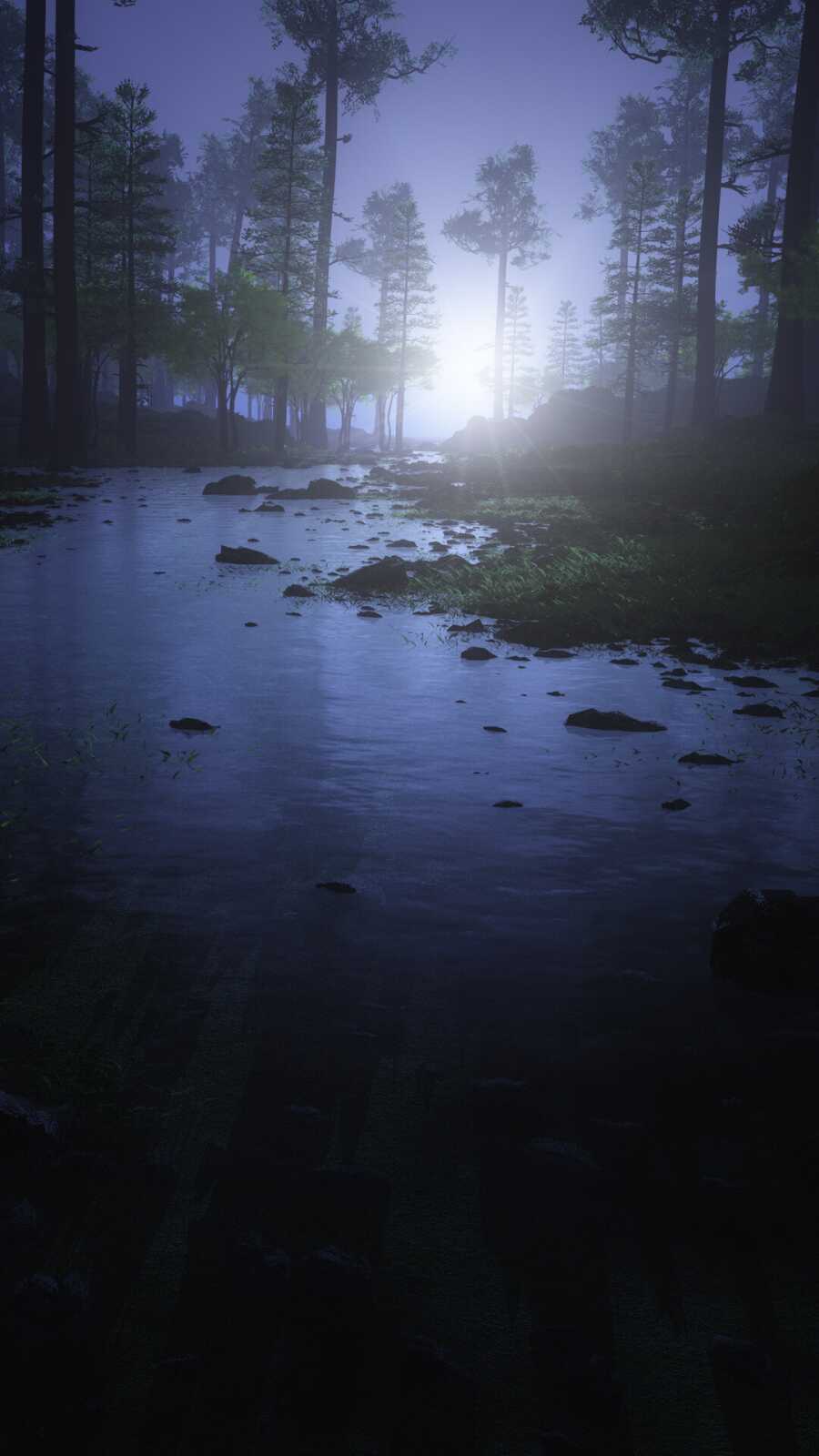 Forest Wallpapers (49 images) - WallpaperCat