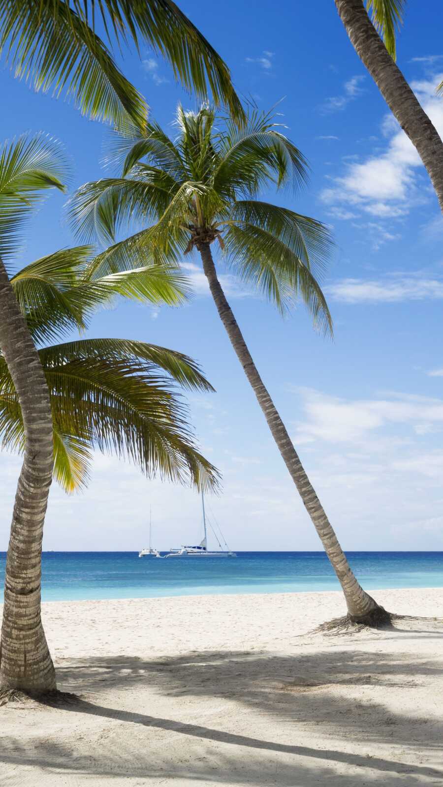 Back Puerto Rico Puerto Rico Wallpapers (70 images) - WallpaperCat