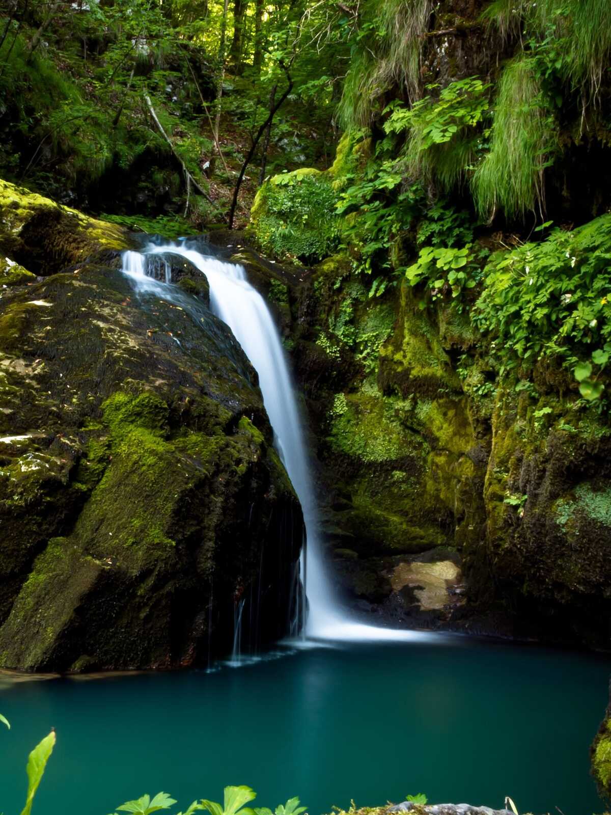 Forest Waterfall Cascade