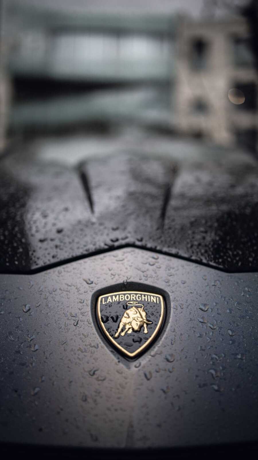 Horseshoe 4K Wallpapers Collection