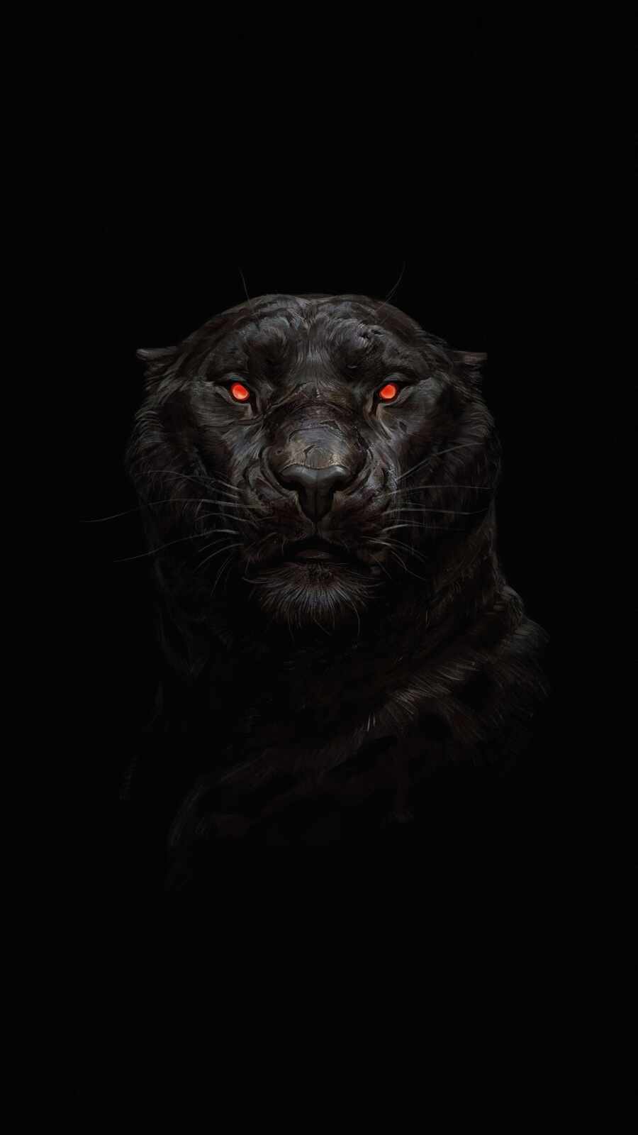 Black Panther Animal