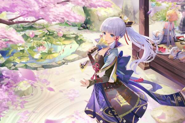 Kamisato Wallpapers