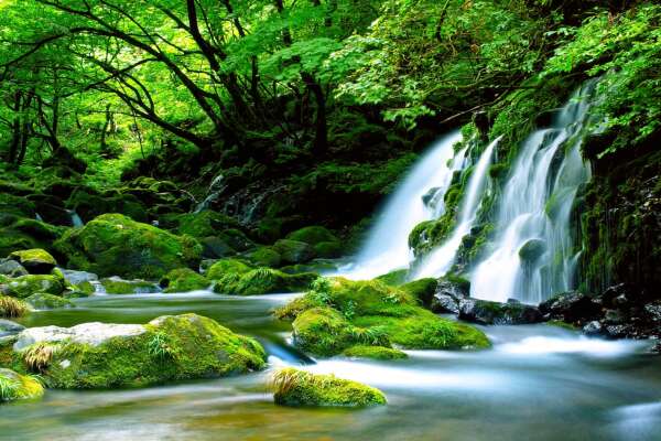 Cascading Wallpapers