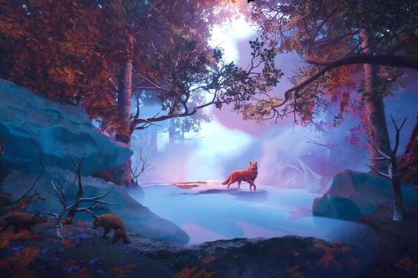 Fox Wallpapers