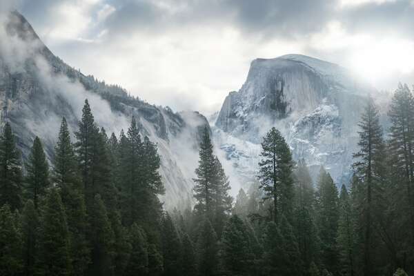 Nature