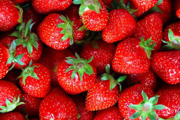Strawberry Wallpapers