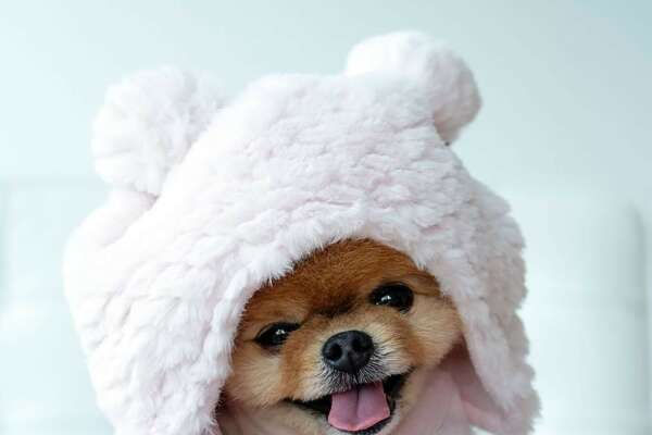 Jiffpom Wallpapers