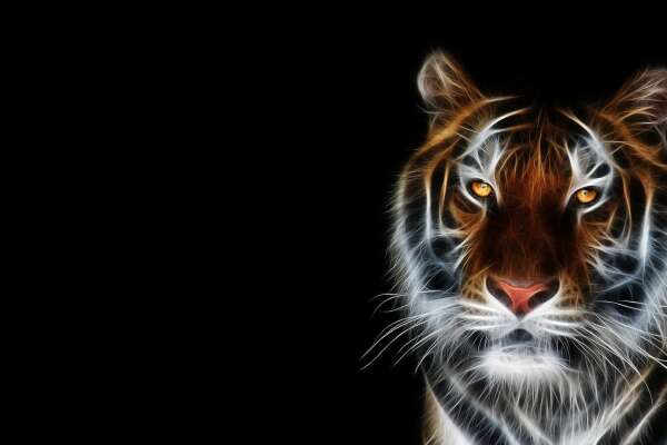 Light Wallpapers