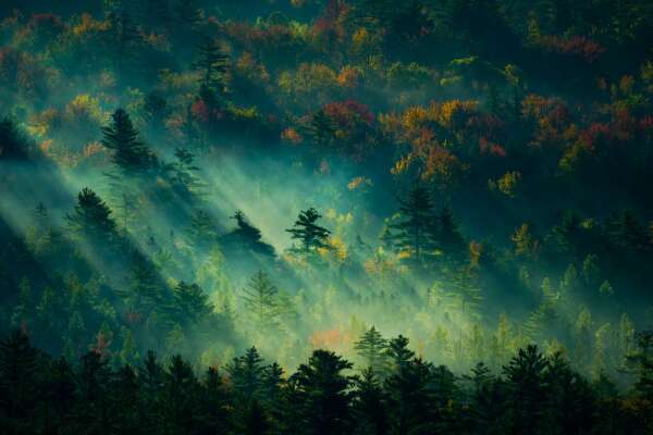 Autumn Wallpapers