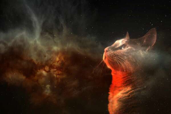 Cosmic Wallpapers
