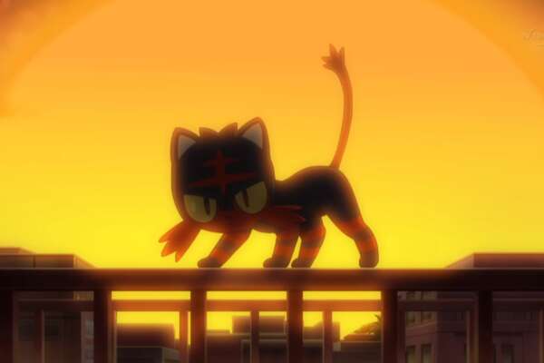 Litten Wallpapers