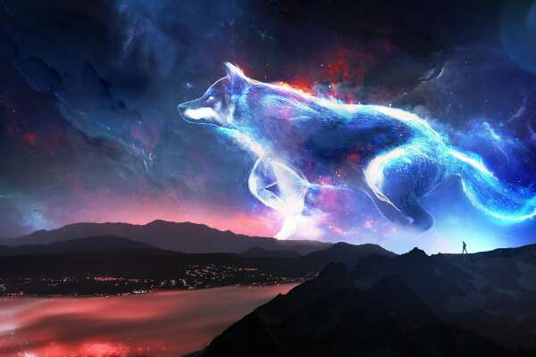 Lone Wolf Wallpapers