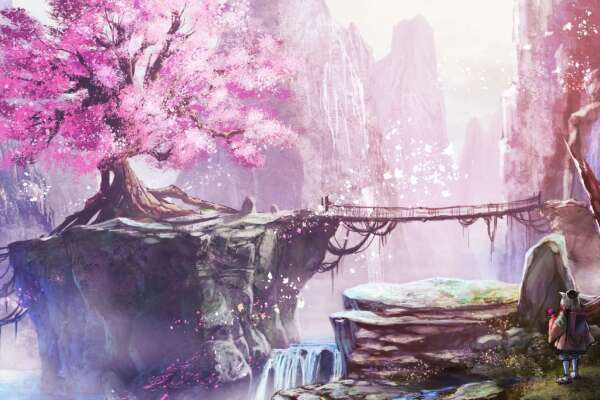 Cherry Blossom Wallpapers