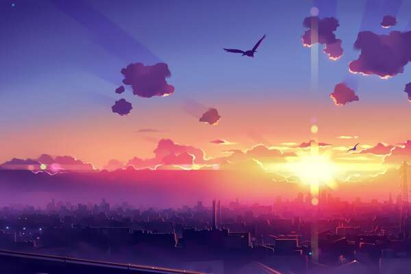 Birds Wallpapers