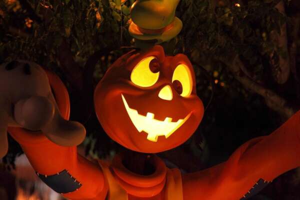 Pumpkin Wallpapers