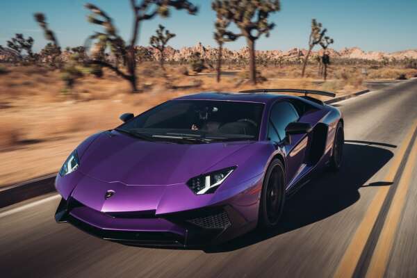 Purple Wallpapers