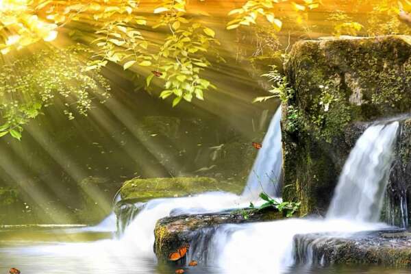 Rock Wallpapers