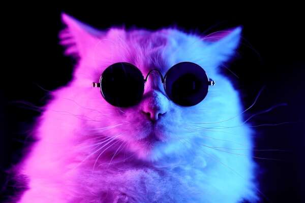 Sunglasses Wallpapers