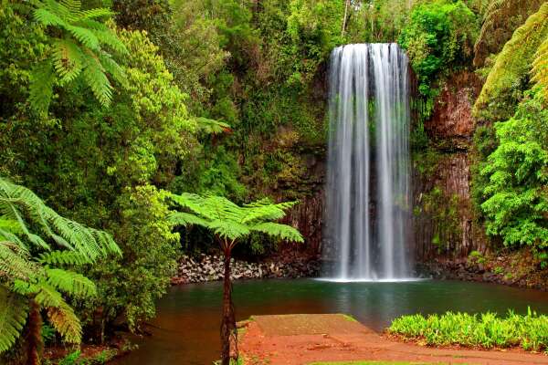 Millaa Wallpapers
