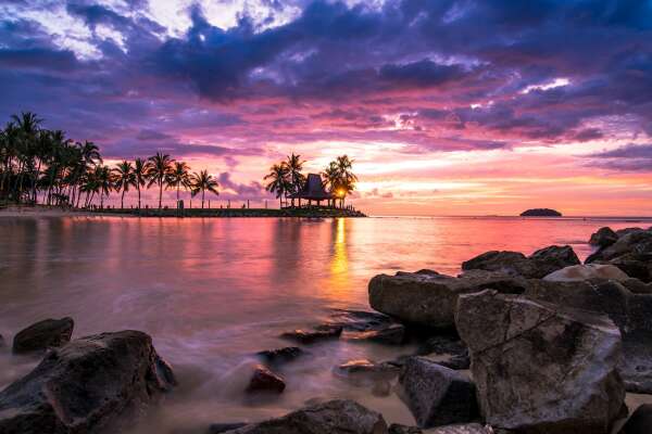 Palm Wallpapers