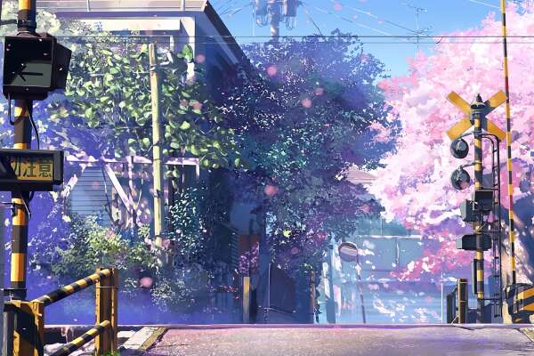 5 Centimeters per Second Wallpapers