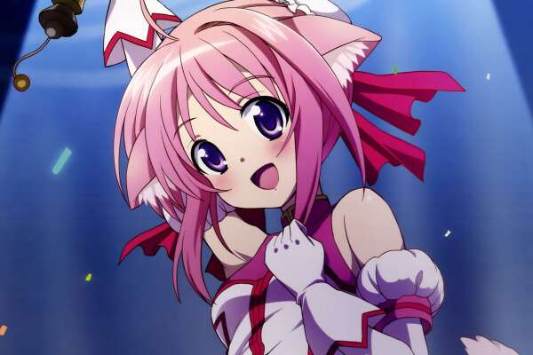 Dog Days Wallpapers