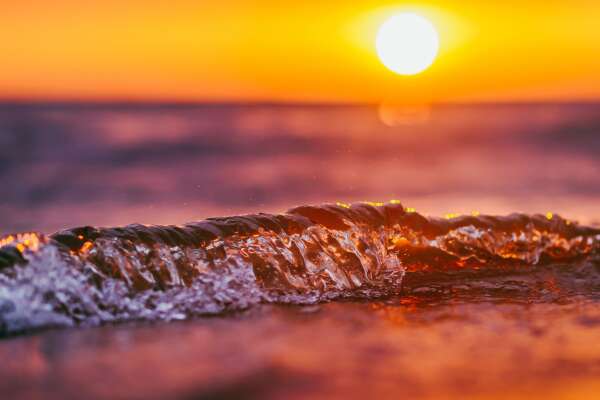Backlit Wallpapers