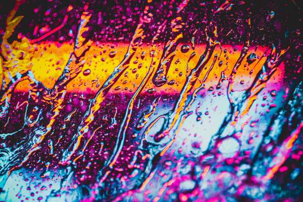 Macro Wallpapers
