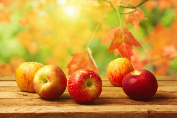 Apples Wallpapers