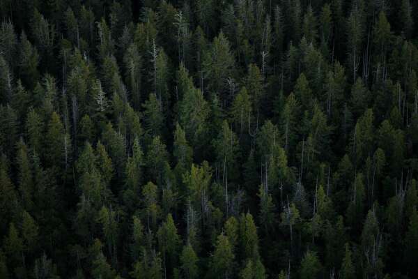 Aerial Wallpapers
