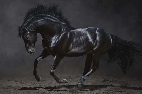 Andalusian Wallpapers