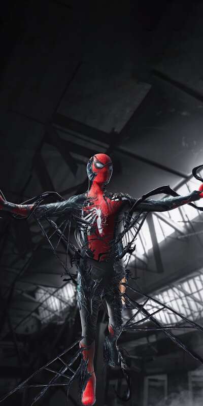 Spider Wallpapers