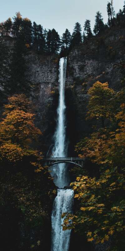 Multnomah Wallpapers