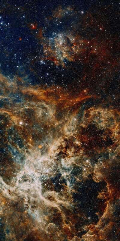 Cosmos Wallpapers