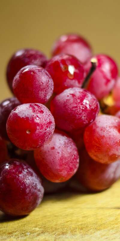 Grapes Wallpapers