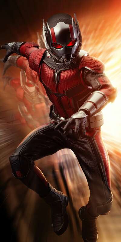 Ant Wallpapers