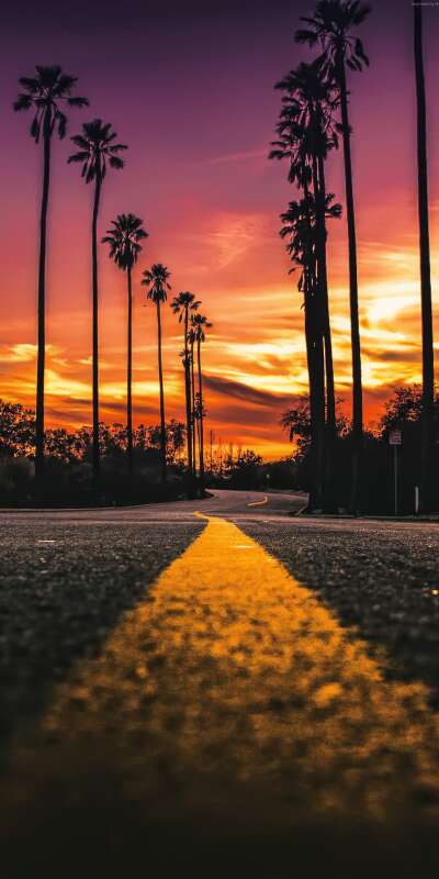 Los Wallpapers