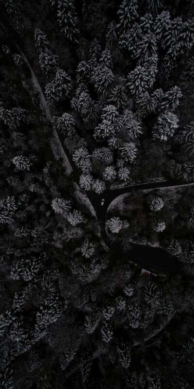 Above Wallpapers