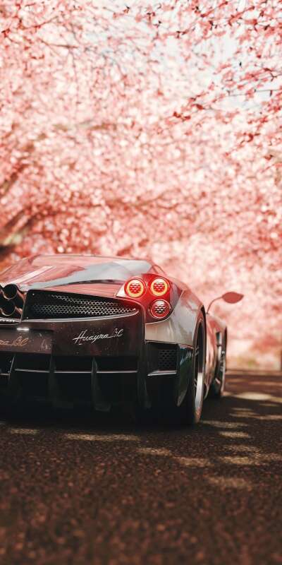 Pagani Wallpapers