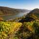 Rhine Gorge