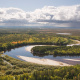 Siberian taiga