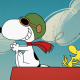 Ace Snoopy