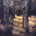Aspen Tree