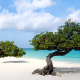 Eagle Beach