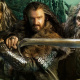 Thorin Oakenshield