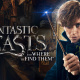 Eddie Redmayne