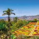 Funchal Botanical Garden