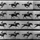 Eadweard Muybridge