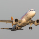 Pegasus Airlines