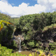 Oheo Gulch
